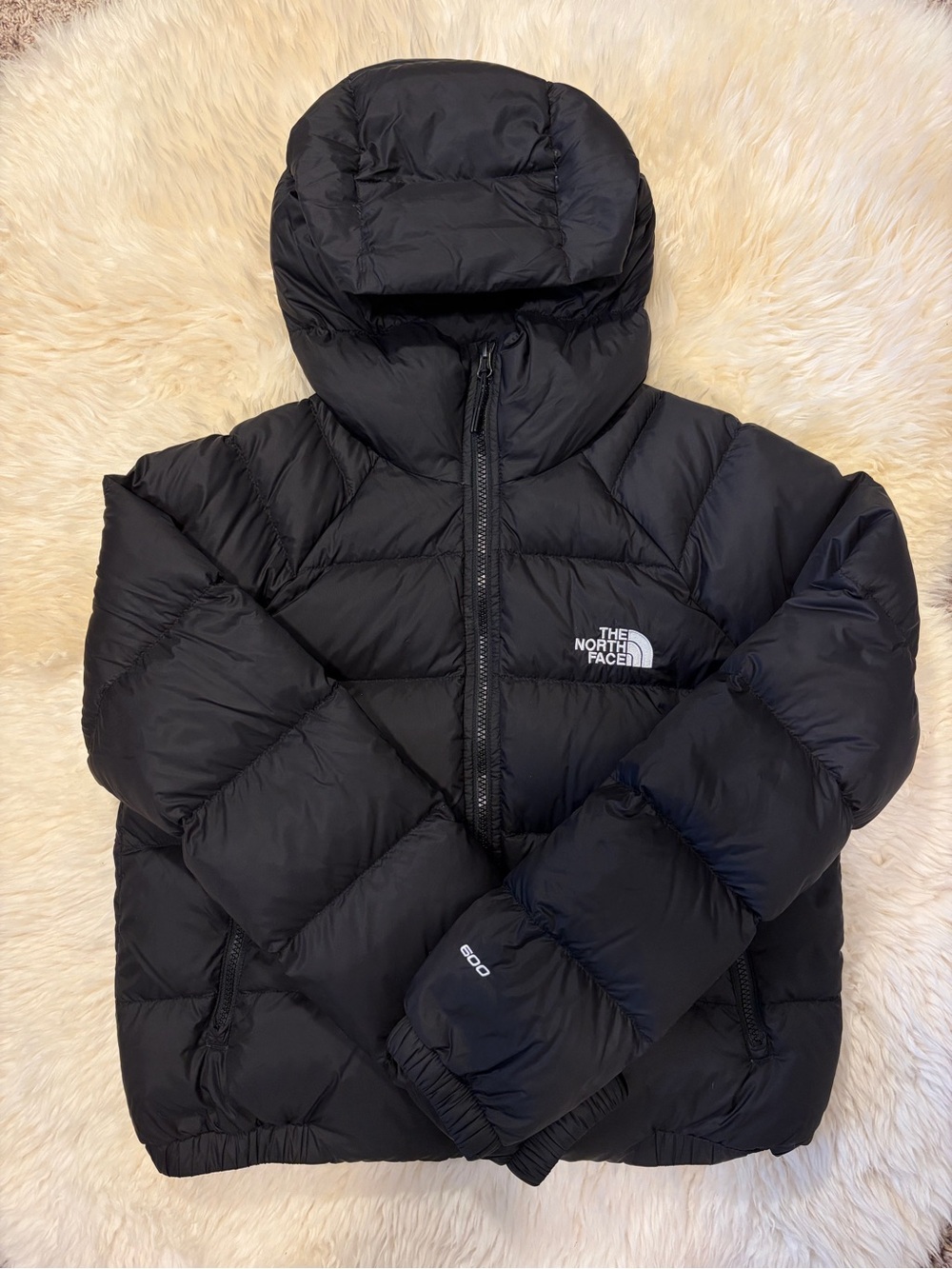 The North Face Women’s Hydrenalite Down Hoodie Jacket